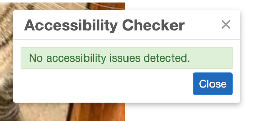Green Accessibility Checker with No Issues