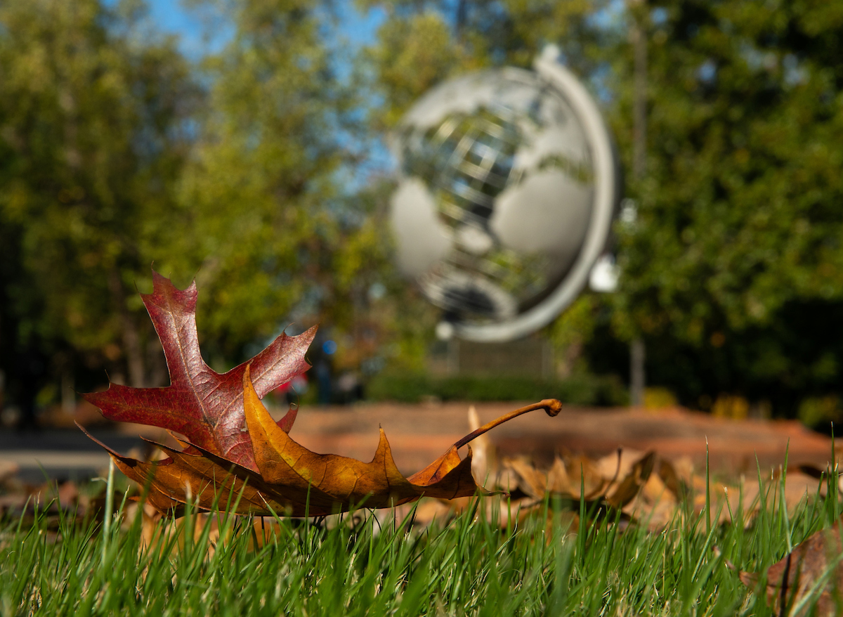 Closeup of leaf in front of globe sculpture on campus.